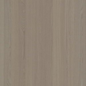 Sand Elm