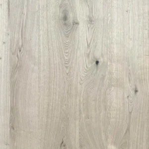 Misty Oak